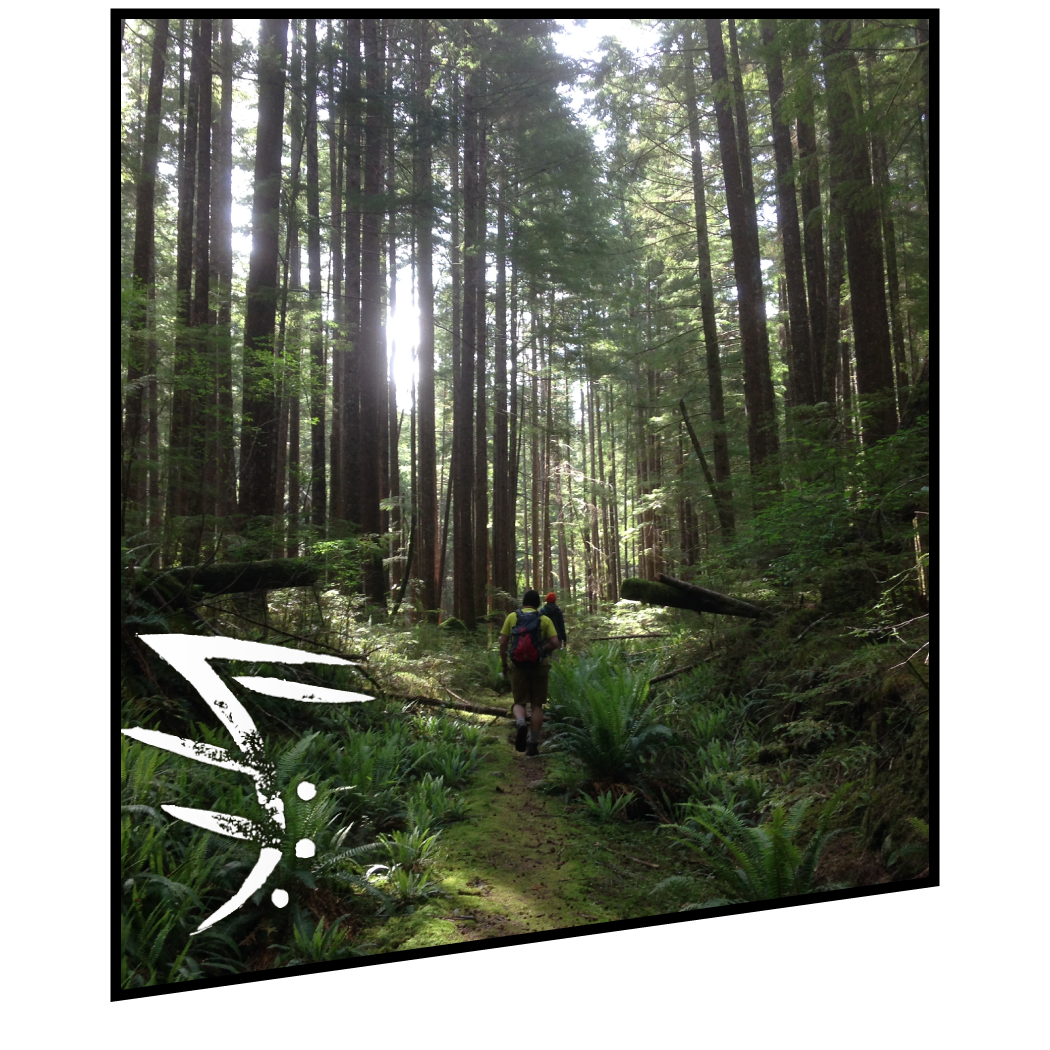 Photo of hikers walking down a forest trail, overlaid with a curious marking in white